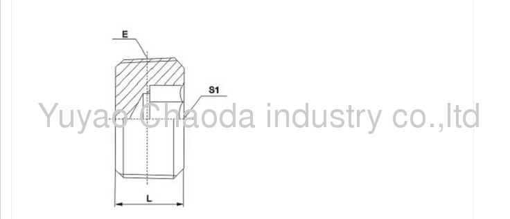 NPT MALE HOLLOW HEX PLUG