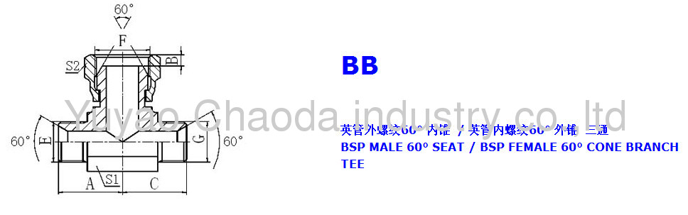 BSP MALE 60° SEAT/BSP FEMALE 60° CONE BRANCH TEE