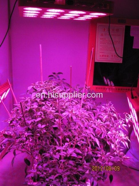 new X2 super power agricultural led grow light