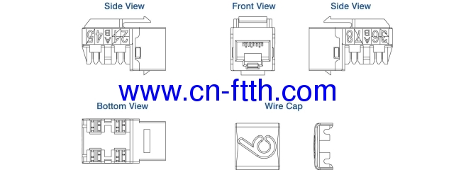 Cat.6 RJ45 UTP Module jack