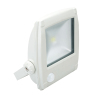 COB LED Flood Light PIR Sensor Aluminium Die-casting with Epistar Chips