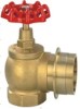 fire hydrant , fire hose, landing valve, fire sprinkler