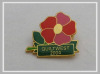 custom butterfly lapel pins badges with soft enamel epoxy processing