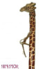 Living Giraffe Carved Wooden Walking Stick