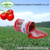 Canned Tomato Paste, Sachet Tomato Paste, Tomato Sauce, Tomato Puree, Tomato Ketchup