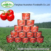 Halal Pizza canned Tomato Sauce 400g*24tins/CTN