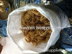 Dried Eucheuma cottonii Seaweed