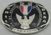 2D or 3D BSA Badge, Zinc Alloy Souvenir Badges with Silver Plating, Velvet on Back Side