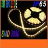 White/ Warm white 5M LED Strip Light SMD 5050 300 LED Lights DC12V 14.4W/M IP65 Waterproof Epoxy LED Light Strip