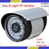 960H Day & night IR ip camera