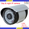 2 Megapxiel 1080P Outdoor IR IP camera