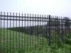Ornamental Wrought Iron Fence