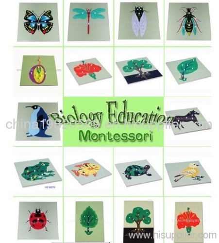 children educational montessori toys