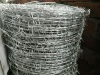Galvanized barbed wire wire