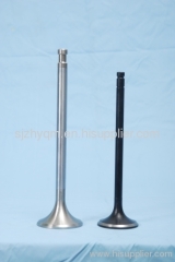 engine valves for VW