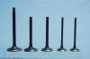 engine valves for SEAT