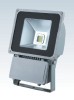 High quality 80W COB LED Flood Light with Aluminium Die-casting body