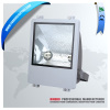 Garden Landscaping & Decking HQI 150W floodlight