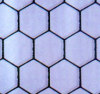 hexagonal iron wire netting