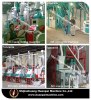 6FYDT complete set of maize milling machine