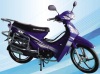 Fashionable Cub Motorcycle (JH110-B)