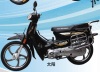 Cub 50Q Motorcycle (JH50Q-15)