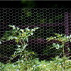 metal Hexoagonal wire mesh