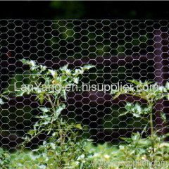 metal Hexoagonal wire mesh