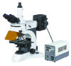 Excellent Upright Fluorescent Microscope with High Resolution Fluorescent Objectives