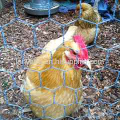 chicken netting metal mesh