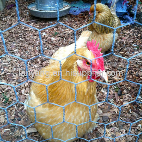 chicken netting metal mesh