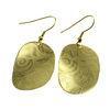 Stainless Steel Disk Earring With Gold Tone Hypo-Allergenic Hook, E255 Fish Hook Earrings For Gift