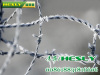 HESLY Hot Dipped Galvanized Barbed Wire