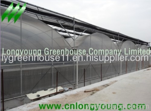 Plastic Film Multi-Span Greenhouse