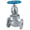 Stainless steel Globe Valve Language Option French