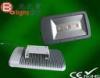 OEM / ODM High Stability 265V 50W Flexible Anti Shock and Waterproof LED Flood Lights for parks and