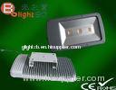 OEM / ODM High Stability 265V 50W Flexible Anti Shock and Waterproof LED Flood Lights for parks and