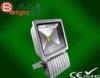 OEM 5000K 85V Dustproof and Waterproof LED Flood Light for hotel facade and historical buildings fac
