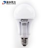 the led Bulbs lamp