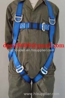 Security belt body harness