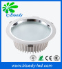 8 inch LED Down light