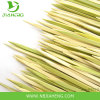 Green Barbecue bamboo skewers wholesale