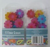 FLOWER ERASER WITH PVC BOX