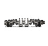 Shangchai Diesel Engine Parts Crankshaft 6114A