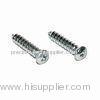 Cross Truss Head Stainless Steel Sheet Self Tapping Screws, Sheet Metal Screw Precision Hardware Par