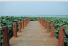 KAMKOO Bamboo outdoor landscape