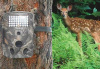 12MP mini hunting camera