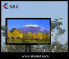 LED outdoor full color screen and Ad. board