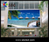 Good quality LED outdoor full color screen and Ad. board