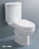 Ceramic White Bathroom Toilet